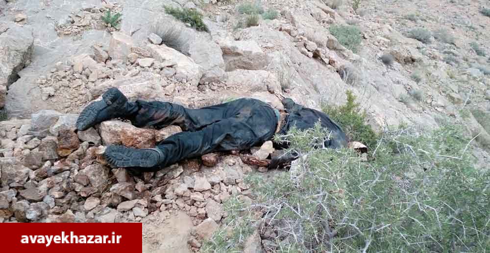 سقوط مرگبار یک کوهنورد از ارتفاعات علم کوه