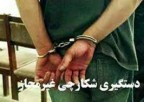 دستگیری شکارچیان غیرمجاز در 5 شهر مازندران