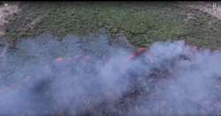 آتش‌سوزی 14 هکتار از پوشش گیاهی میانکاله در 24 ساعت گذشته