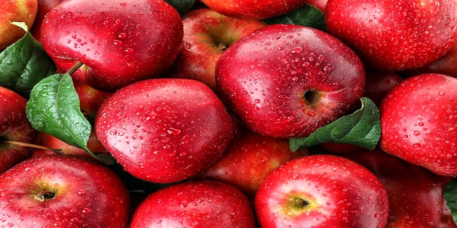 ۳۶ فایده سیب برای سلامتی و درمان بیماری‌ها