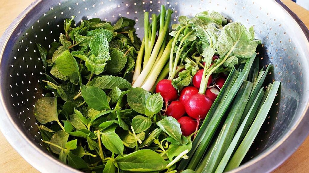 چند ترفند ساده برای تازه نگه داشتن سبزی خوردن