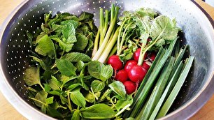 چند ترفند ساده برای تازه نگه داشتن سبزی خوردن