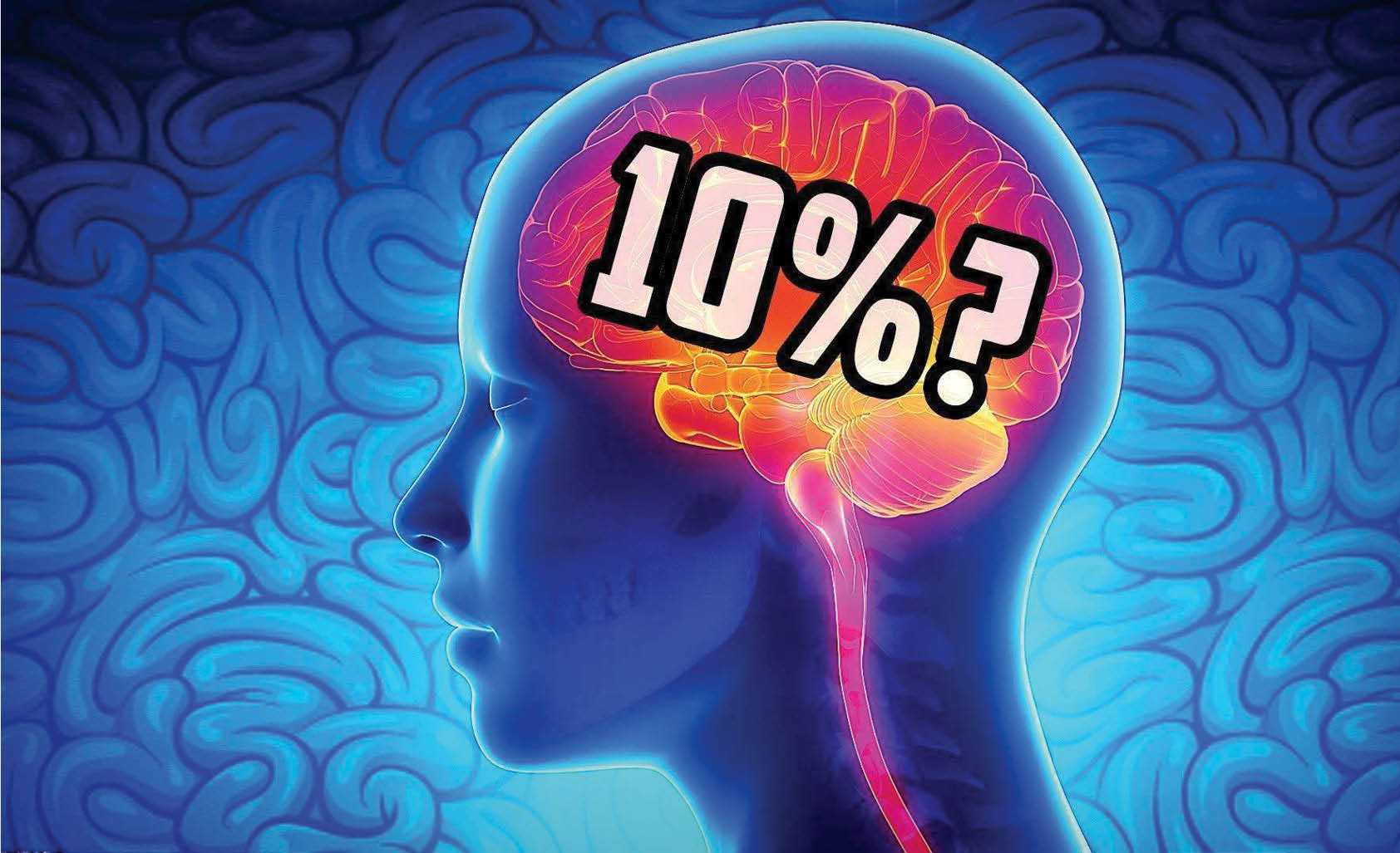 استفاده 10درصدی از مغز؛ این موضوع شایعه است یا واقعیت دارد؟