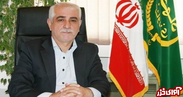 130 هزار تن پرتقال مازندران از چرخه مصرف خارج شد/ ارسال 35 هزار تن کیوی و پرتقال به کارخانجات آبمیوه 130 هزار تن پرتقال مازندران از چرخه مصرف خارج شد/ ارسال 35 هزار تن کیوی و پرتقال به کارخانجات آبمیوه