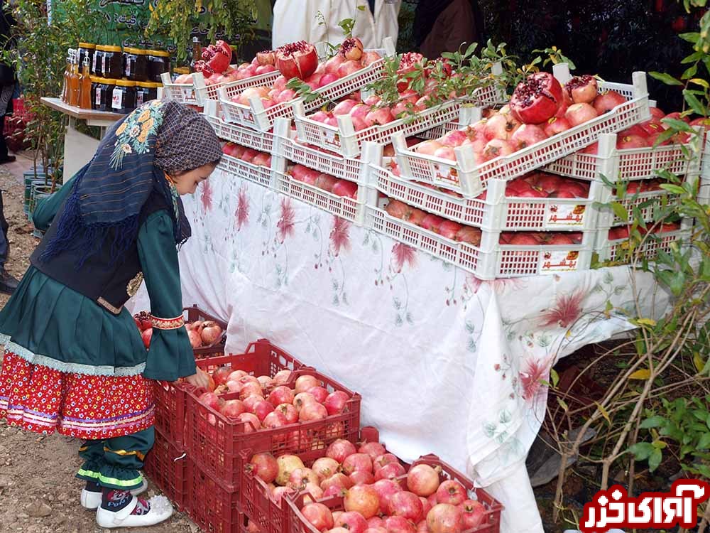 تمدید نمایشگاه «انار اشرف» تا 17 آبان‌ماه