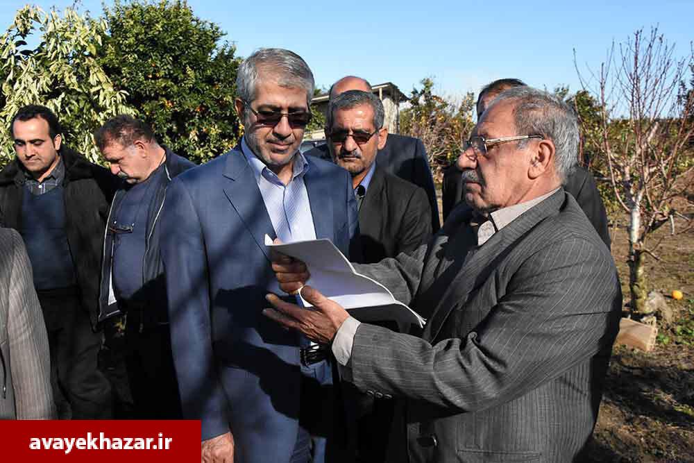 بازدید نماینده وزارت جهاد کشاورزی و رئیس کمیسیون کشاورزی از باغات مرکبات شرق مازندران/ باغداران: برای گرم کردن باغات، لاستیک فرسوده را 30 هزار تومان میخریدیم بازدید نماینده وزارت جهاد کشاورزی و رئیس کمیسیون کشاورزی از باغات مرکبات شرق مازندران/ باغداران: برای گرم کردن باغات، لاستیک فرسوده را 30 هزار تومان میخریدیم