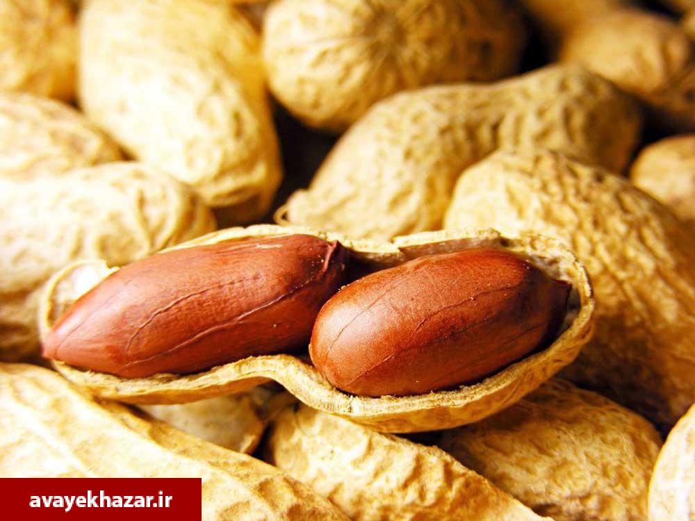 روغن بادام زمیني تنها یک نوع روغن گیاهي نیست...!!!