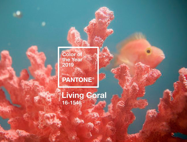 «مرجانی زنده» رنگ سال 98 یا 2019