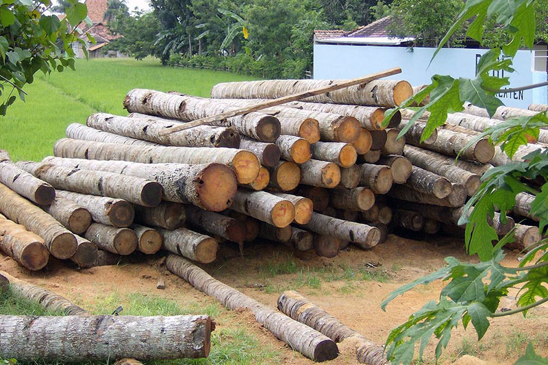 کشف 2.5 تن چوب جنگلي قاچاق در کلاردشت