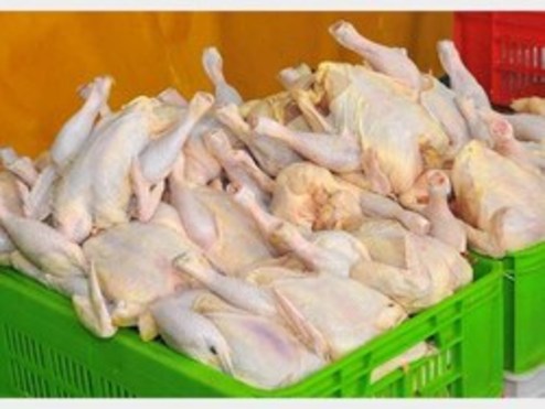 قیمت هر کیلو مرغ در بازار چند؟