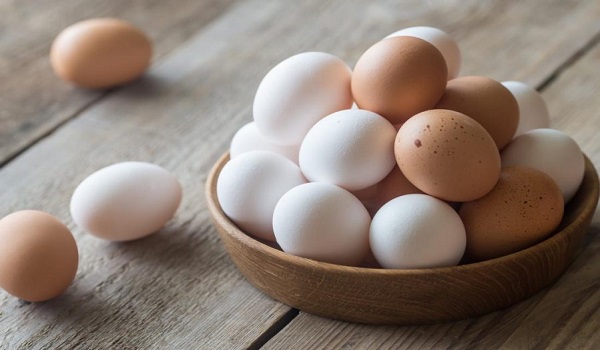 تخم مرغ | غذاهای غیر قابل فریز