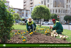 ساری رنگ نوروز گرفت