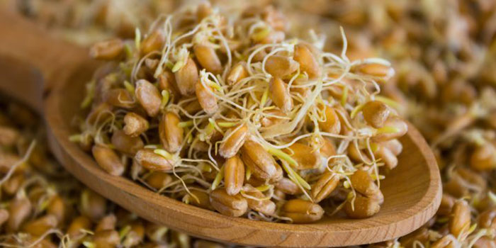 تهدیدی از جنس سوسیس و کالباس برای مادران باردار/ ترکیبات مشابه شکلات و ماریجوانا/ بهترین ماسک خانگی برای بستن منافز پوست تهدیدی از جنس سوسیس و کالباس برای مادران باردار/ ترکیبات مشابه شکلات و ماریجوانا/ بهترین ماسک خانگی برای بستن منافز پوست