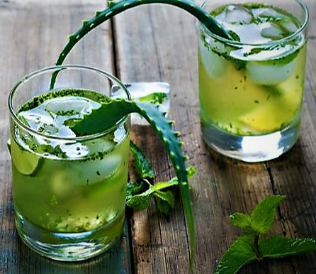 شربت آلوئه ورا، شربتی خوشمزه و گوارا شربت آلوئه ورا، شربتی خوشمزه و گوارا