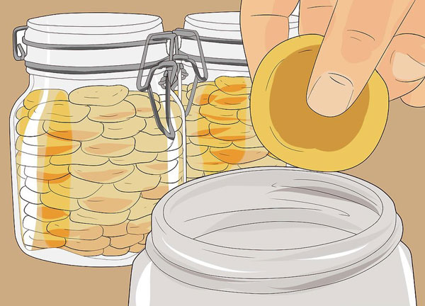 طریقه نگهداری برگه زردآلو طریقه نگهداری برگه زردآلو