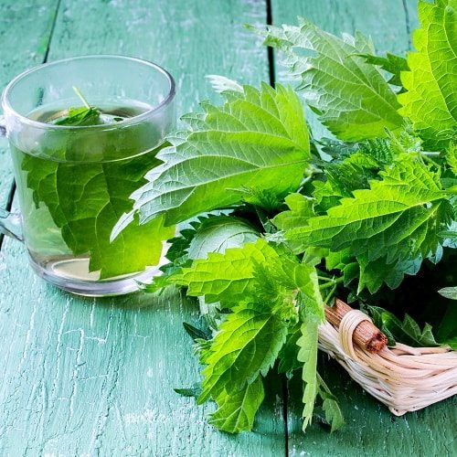 آلرژی فصلی را با ۱۰ فرمول خانگی در نطفه خفه کنید +لیست خوراکیهای ضد آلرژی آلرژی فصلی را با ۱۰ فرمول خانگی در نطفه خفه کنید +لیست خوراکیهای ضد آلرژی