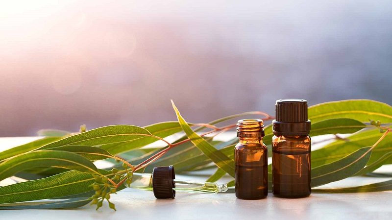 آلرژی فصلی را با ۱۰ فرمول خانگی در نطفه خفه کنید +لیست خوراکیهای ضد آلرژی آلرژی فصلی را با ۱۰ فرمول خانگی در نطفه خفه کنید +لیست خوراکیهای ضد آلرژی