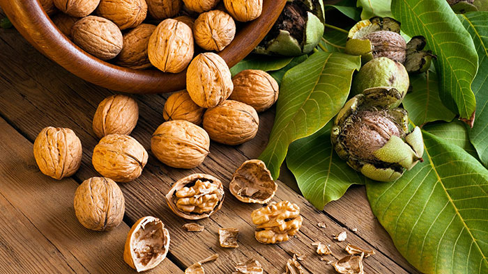 رفع دندان درد با یک قطره از عصاره این گیاه/ ماسکی خانگی برای استفاده از خواص گردو/ زانو درد خود را با انجیر درمان کنید/ زخمهای ناشی از مصرف ادامس دارچینی رفع دندان درد با یک قطره از عصاره این گیاه/ ماسکی خانگی برای استفاده از خواص گردو/ زانو درد خود را با انجیر درمان کنید/ زخمهای ناشی از مصرف ادامس دارچینی