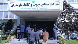 ازسرگیری کامل فعالیت کارخانه چوب و کاغذ مازندران تا یک‌ماه آینده/تعهد بانک مرکزی برای تامین ۱۰ میلیون دلار ارز مورد نیاز چوب و کاغذ مازندران