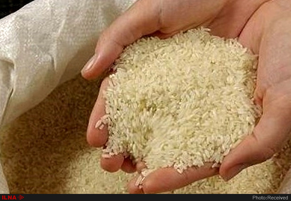مصرف برنج خارجی، برنج ایرانی را ارزان کرد!