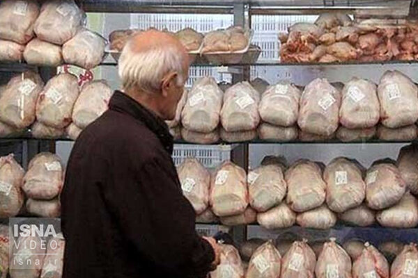 علت افزایش دوباره قیمت مرغ