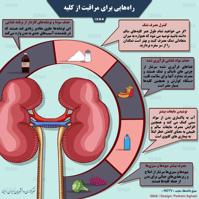 ۵ پیشنهاد طلایی برای مراقبت از کلیه‌ها