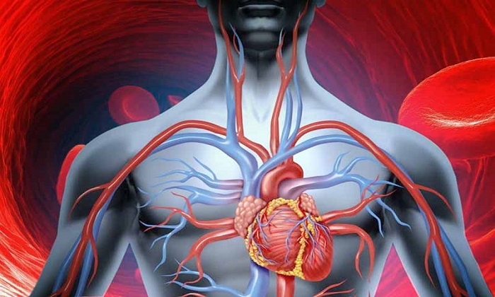 5 گزینه طبیعی برای بهبود گردش خون 5 گزینه طبیعی برای بهبود گردش خون