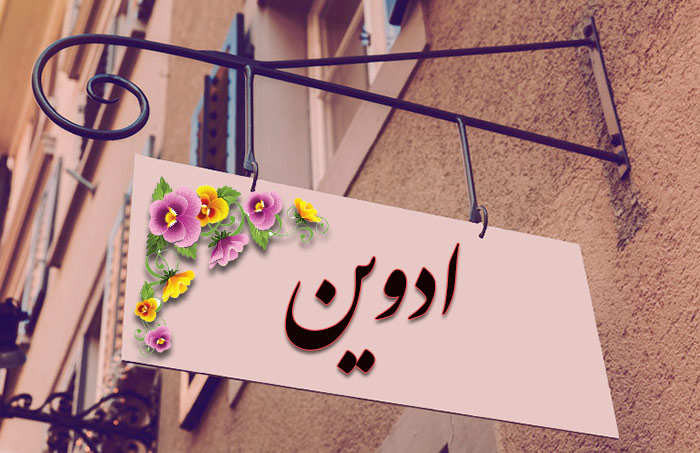 معنی اسم ادوین