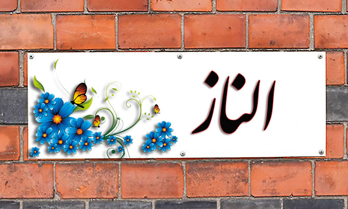 اسم الناز معنی اسم الناز