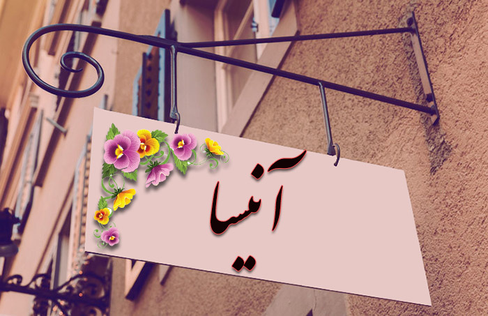 اسم آنیسا معنی اسم آنیسا