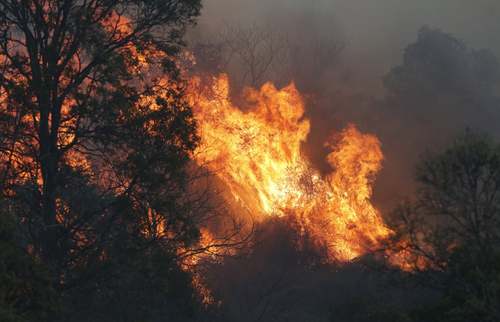 آتش سوزی جنگلی در 