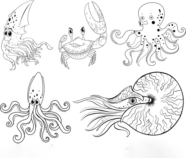 نقاشی حیوانات دریایی برای کودکان برای رنگ‌آمیزی
