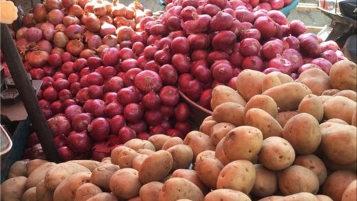 قیمت میوه تا دو ماه دیگر کم می‌شود