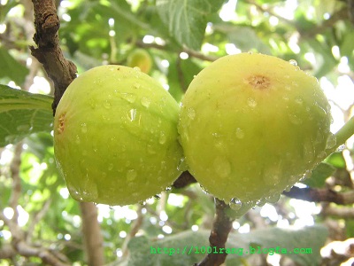 گلوگاه مازندران و زمانی برای نمایش توانمندیها گلوگاه مازندران و زمانی برای نمایش توانمندیها
