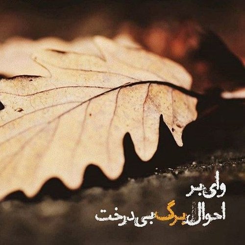 عکس نوشته برگ پاییزی  