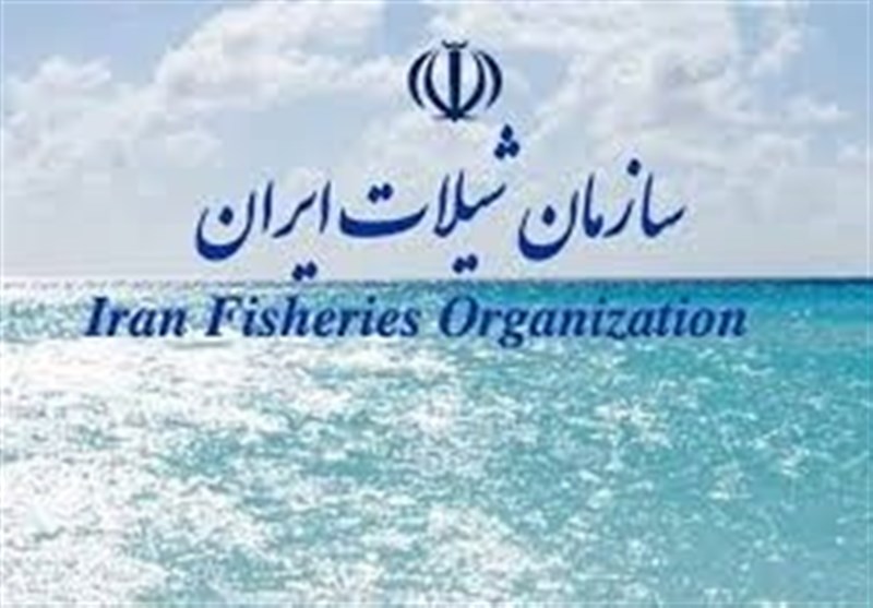 مالکیت ۳ مدیر بازنشسته شیلات بر ۱۵ شناور صید ماهی