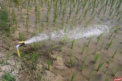 افتتاح طرح آبرسانی کم‌فشار در مزارع روستای 