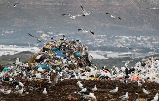 مازندران در محاصره زباله