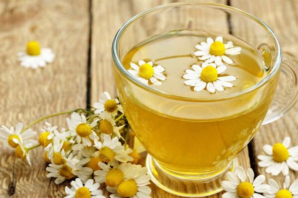 معرفی 10 دمنوش با طبع گرم، موارد منع مصرف و مصلحات آن ها معرفی 10 دمنوش با طبع گرم، موارد منع مصرف و مصلحات آن ها
