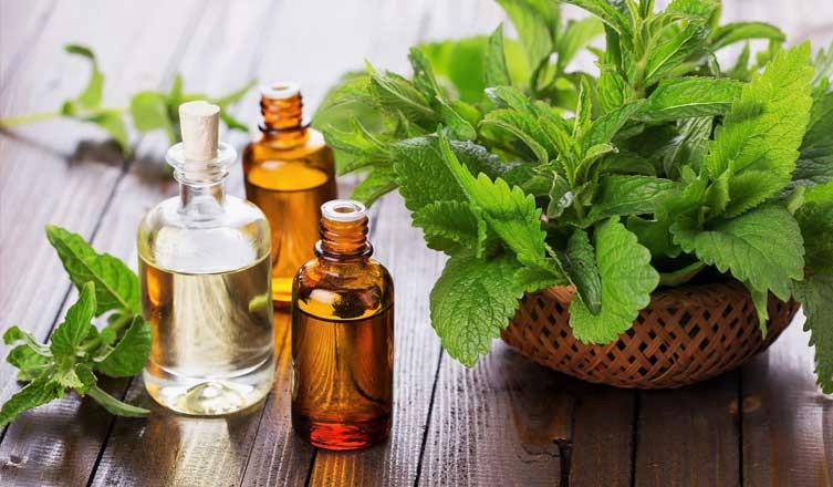 برای هضم سریع غذا چه بخوریم؛ 18 ماده غذایی که باعث هضم سریع غذا میشوند