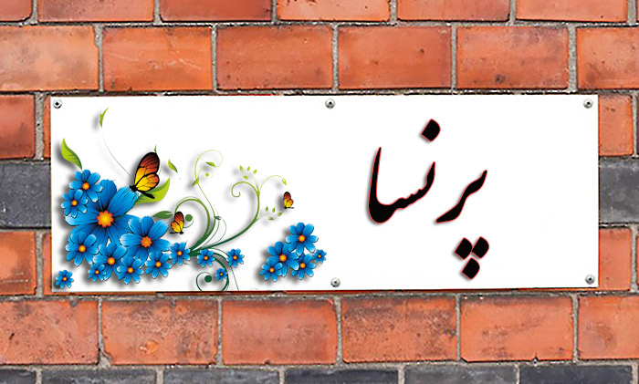 اسم پرنسا معنی اسم پرنسا چیست؟ (ریشه، فراوانی و اسم های مشابه پرنسا)