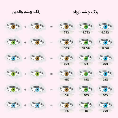 پیش بینی رنگ چشم جنین رنگی شدن چشم جنین