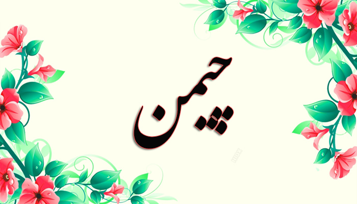 اسم چیمن معنی اسم چیمن