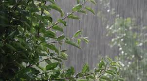 ادامه بارشها در مازندران تا فردا