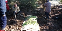 جسد پیرزن مفقودشده در سیل گلوگاه کشف شد
