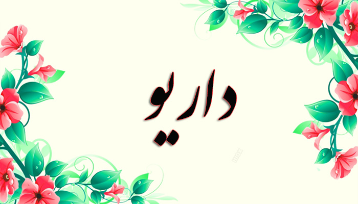اسم داریو اسم داریو
