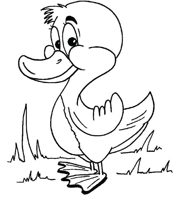 نقاشی اردک  خنده دار