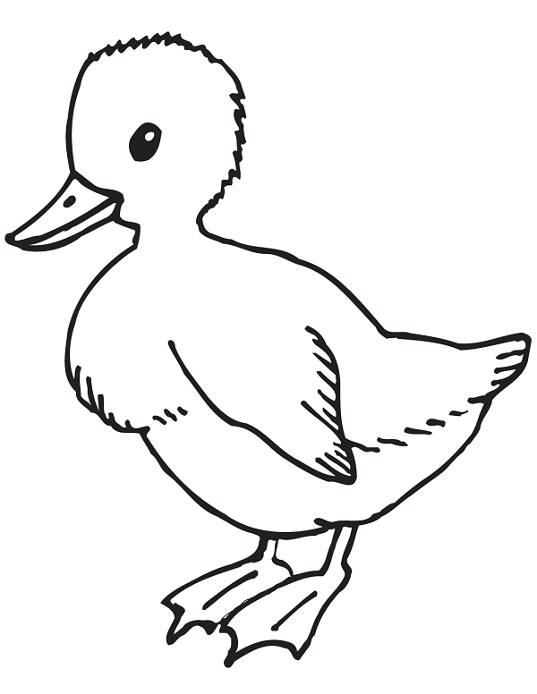 نقاشی بچه اردک