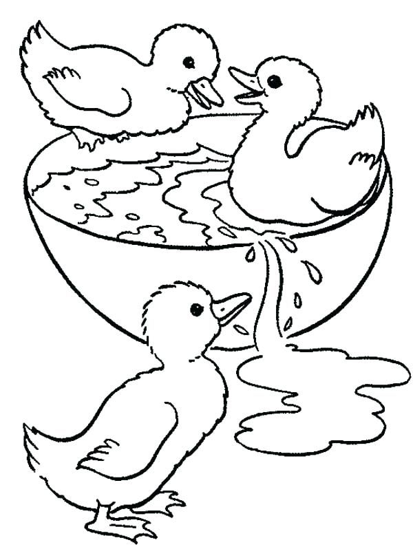 نقاشی کودکانه اردک برای رنگ آمیزی