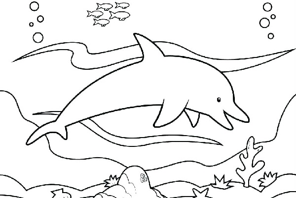 نقاشی دلفین برای کودکان